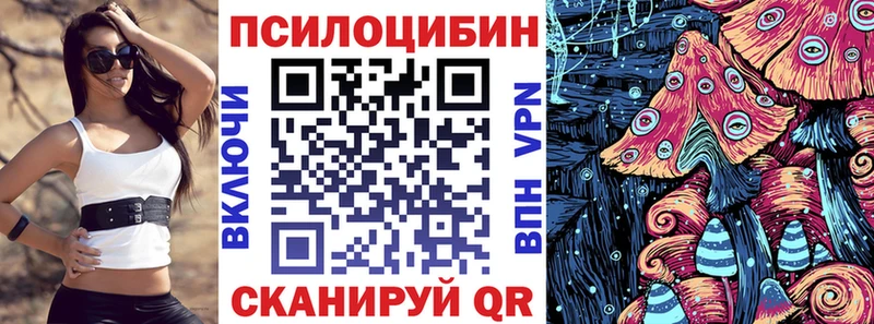 наркошоп  Староминская  mega ссылка  Псилоцибиновые грибы Psilocybe 